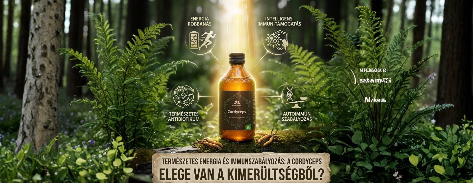 HerbaDoctor Webáruház