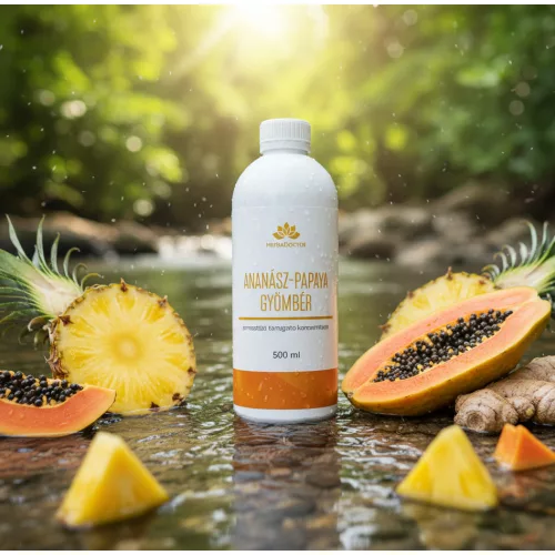 Ananász-Papaya-Gyömbér Emésztést támogató koncentrátum
