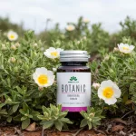 Botanic Bodorrózsa olaj kapszula