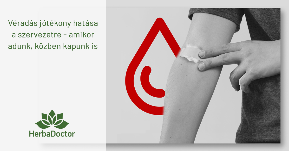 Véradás jótékony hatása a szervezetre – amikor adunk, közben kapunk is