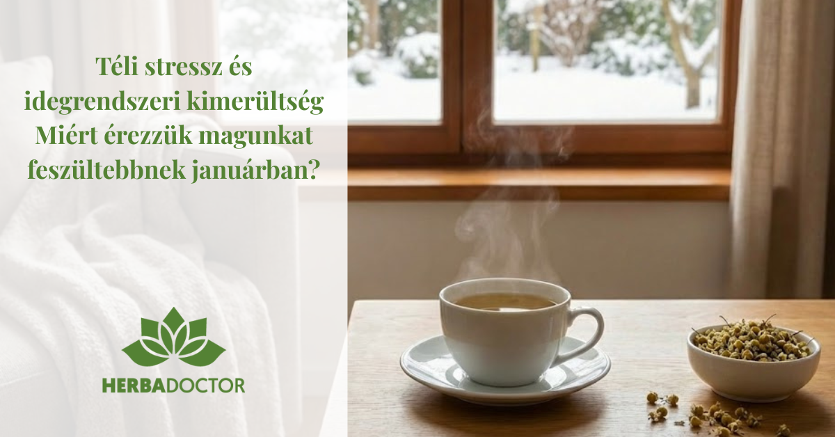 Téli stressz és idegrendszeri kimerültség – Miért érezzük magunkat feszültebbnek januárban?