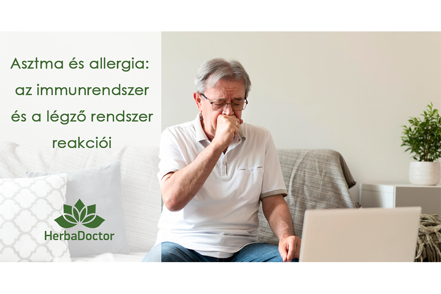 Asztma és allergia: az immunrendszer és a légző rendszer reakciói