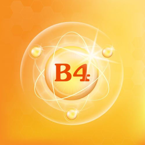 B4-vitamin (folsav)