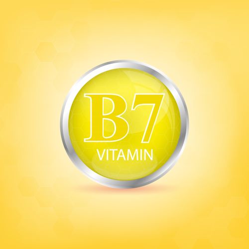 B7-vitamin (biotin)