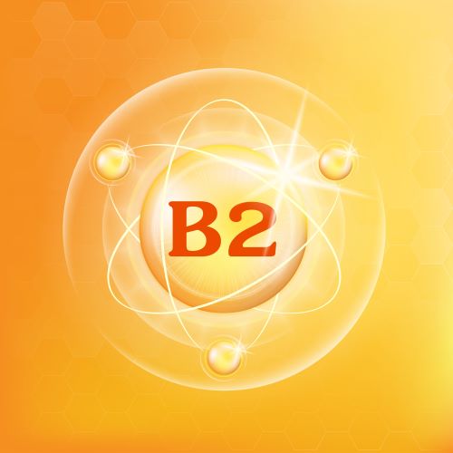 B2-vitamin (riboflavin)